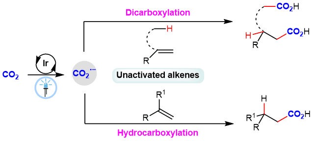 Visible-Light Photocatalytic Di- and Hydro-Carboxylation of Unactivated Alkenes with CO2