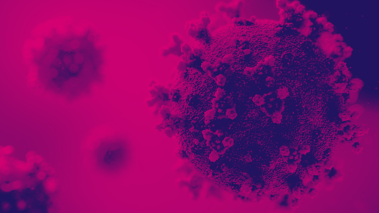 Career Panel: Public Health