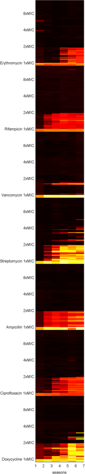 Evolving antibiotic resistance: a cheap spatial ecology lab