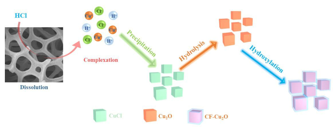 The Many Faces of Cu2O Nanocubes for the (Photo)Catalytic Hydrogenation of Carbon Dioxide