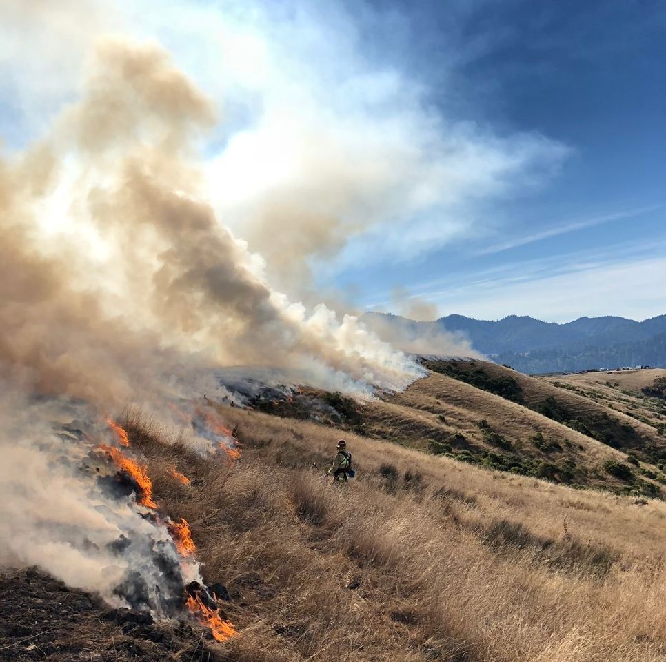 Rethinking resilience to wildfire: interdisciplinary discussions provide ideas for better living with wildfire