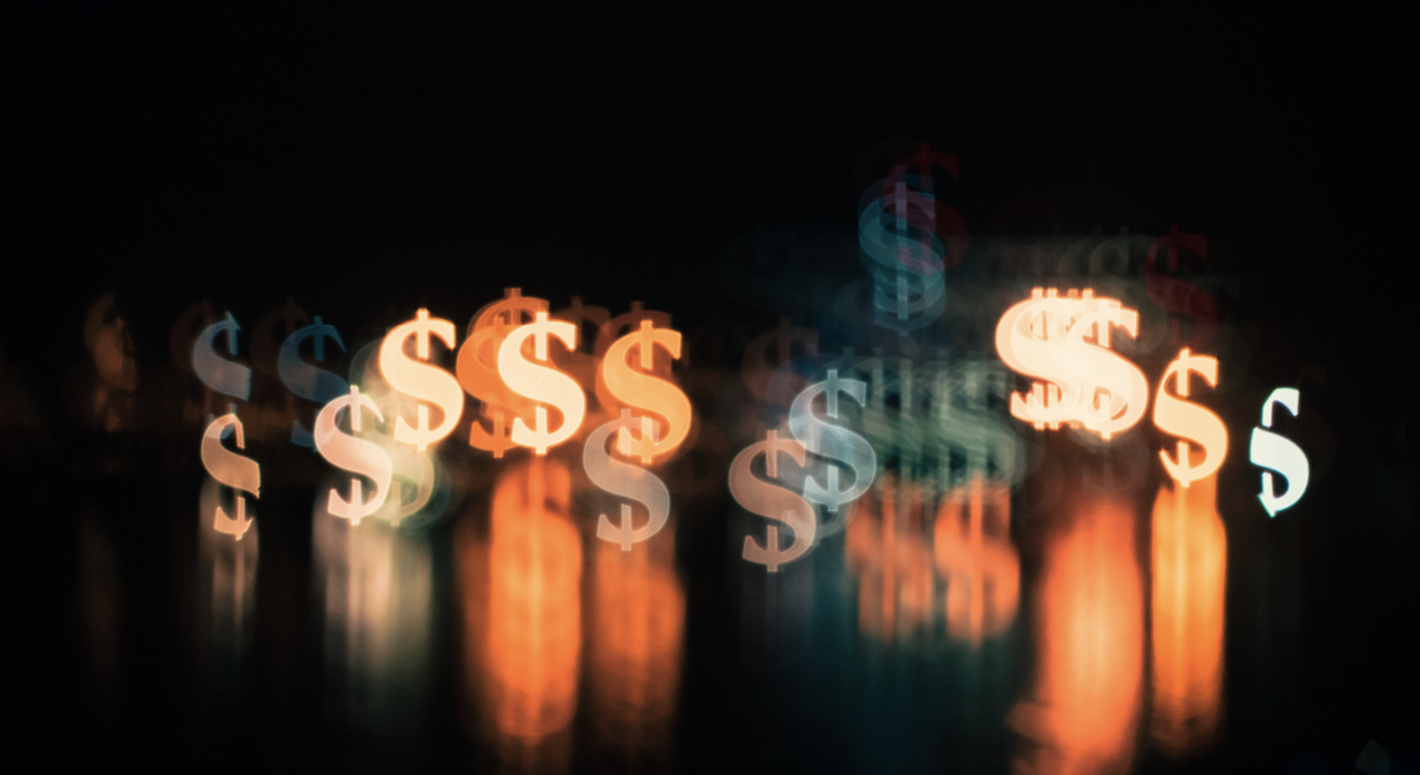 Laidlaw Investment Fund Survey