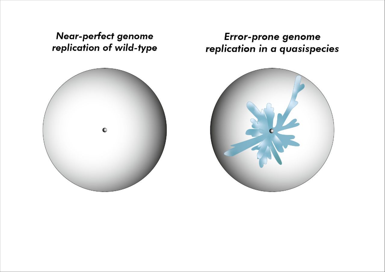 Varietas delectat – How teetering on the verge of extinction can benefit virus evolution