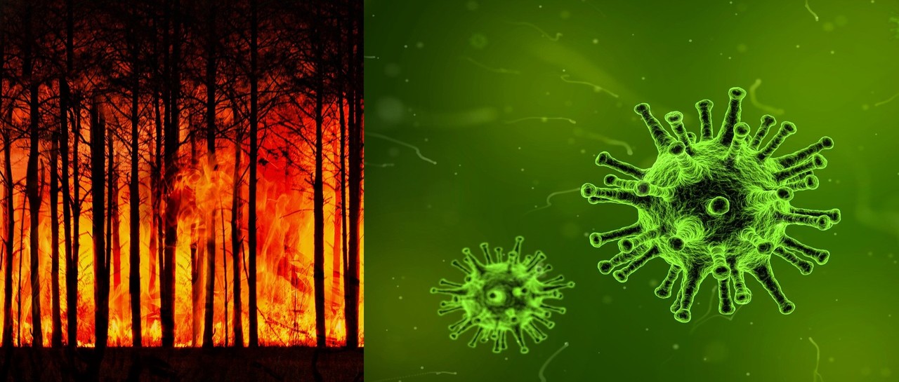 The cost of action, inaction and experts?