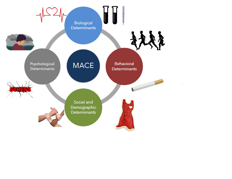 A Protocol Integrating Remote Patient Monitoring, Patient Reported Outcomes, and Cardiovascular Biomarkers