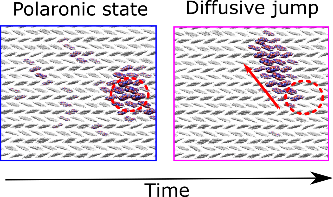Quantum localization and delocalization of charge carriers in organic semiconducting crystals