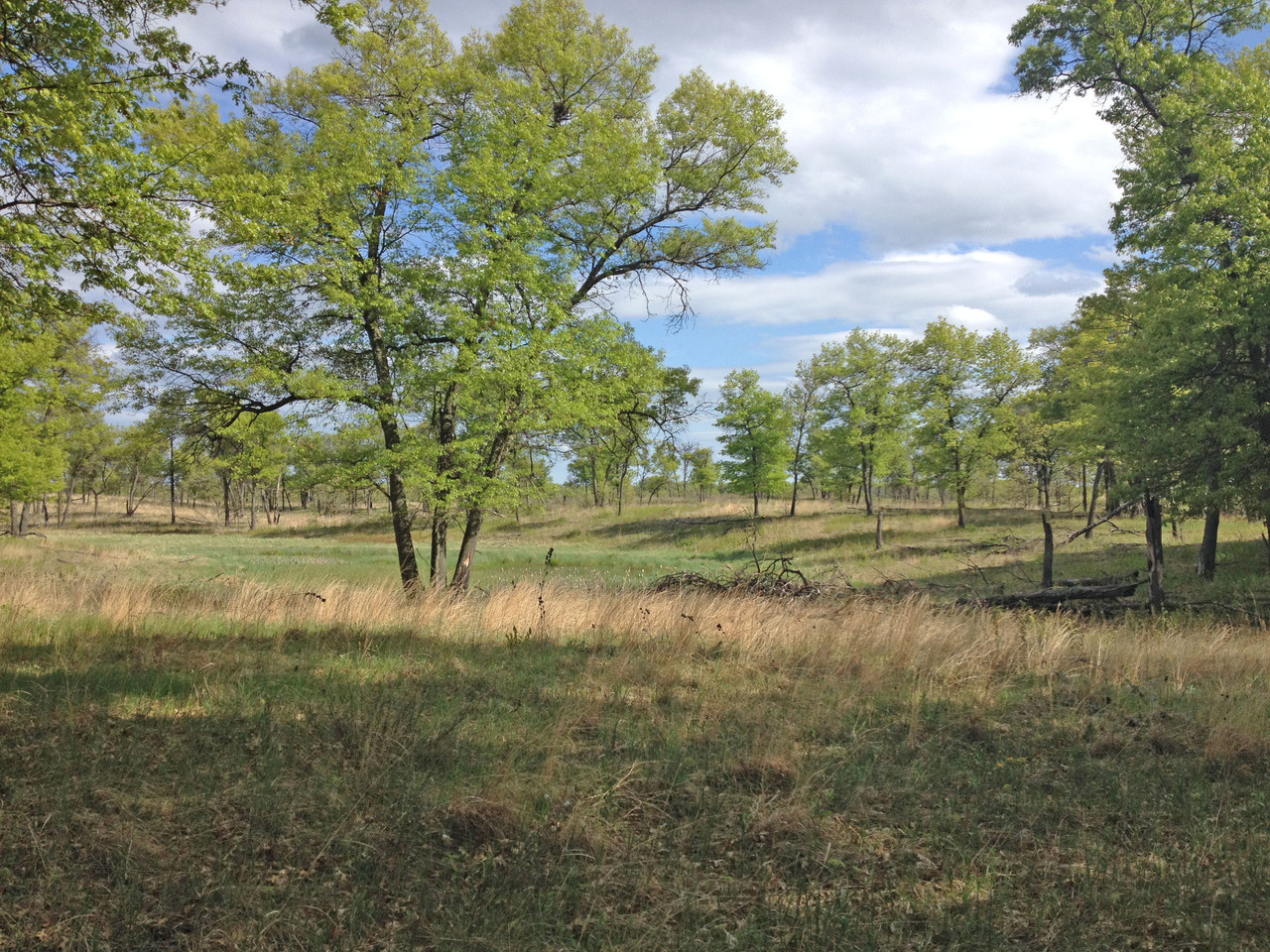 Causes of Late Quaternary ecosystem change