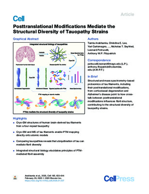 Posttranslational Modifications Mediate the Structural Diversity of Tauopathy Strains