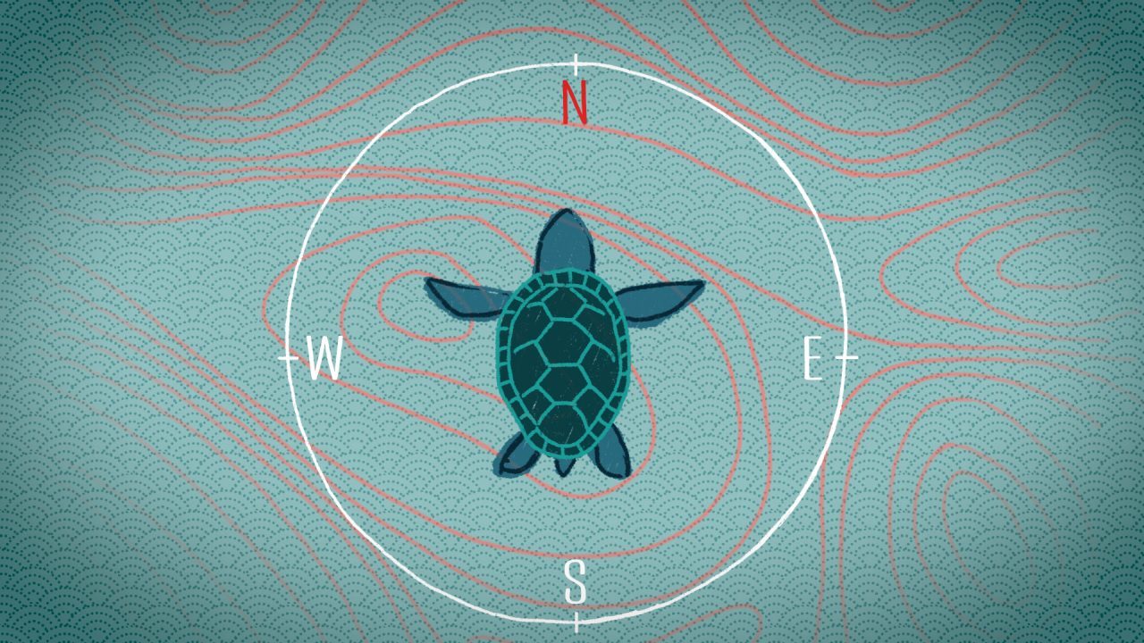 Will magnetoreception be the artificial sixth sense of human?