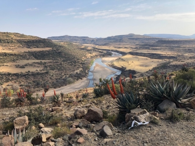 Exploring the dinosaur graveyards of the Eastern Cape