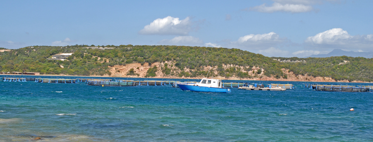 A sustainability transition in global food systems? Trajectories of marine aquaculture development