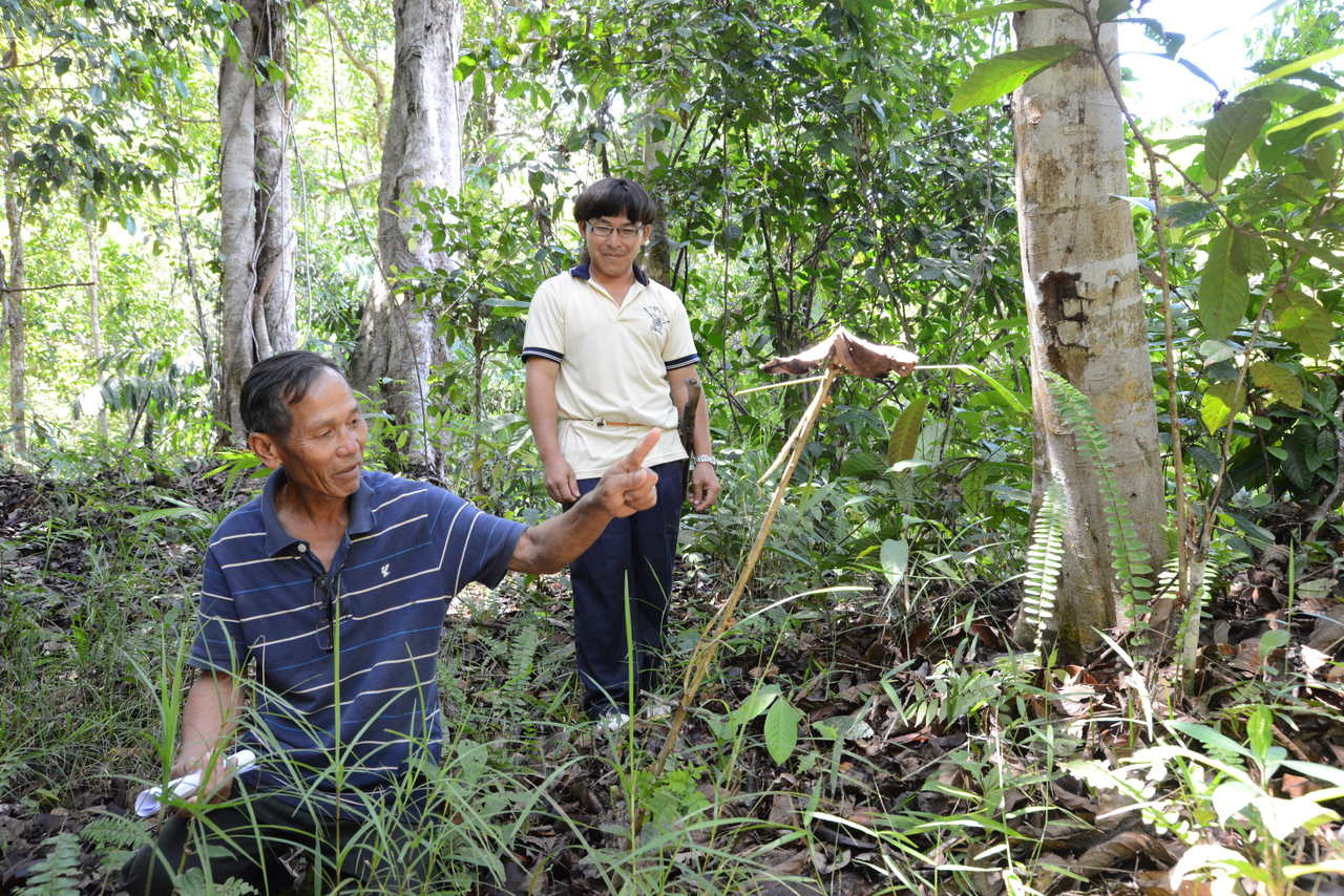 Romanticizing the adaptive capacity of indigenous communities