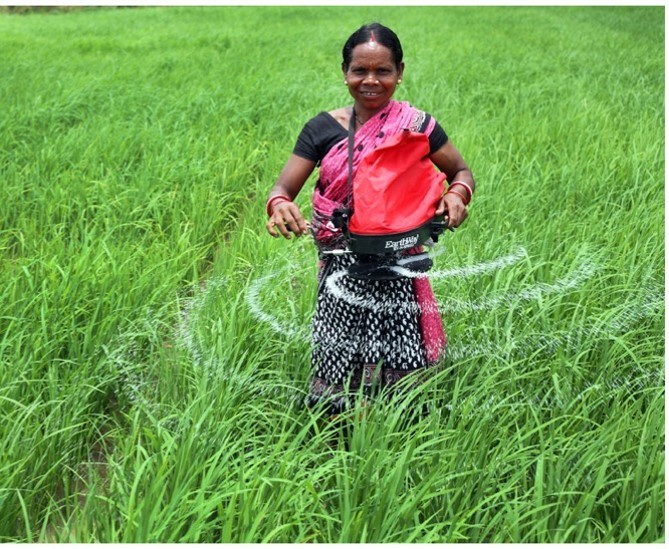 Micro-satellite data can help double yield gains from agricultural interventions