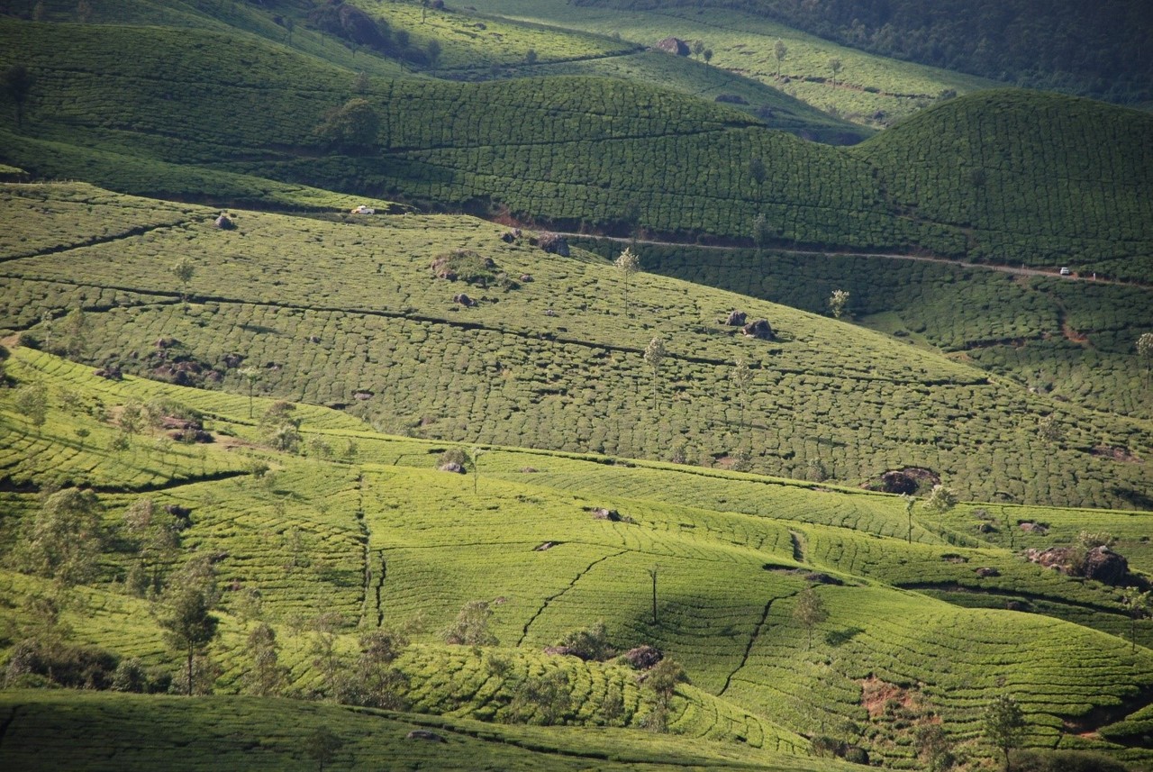 Need for Aglectric Farming in a Land Constrained World