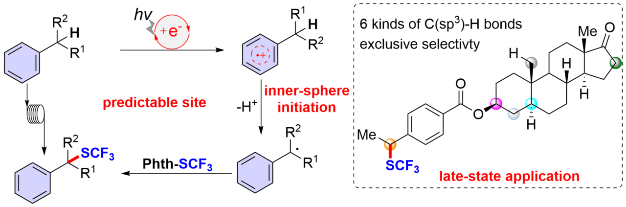 Late-Stage Trifluoromethylthiolation of Benzylic C-H Bonds