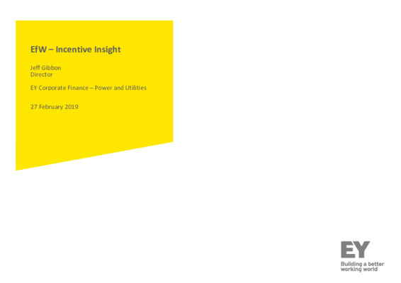 EfW 2019 Incentive insight 2: EY Corporate Finance