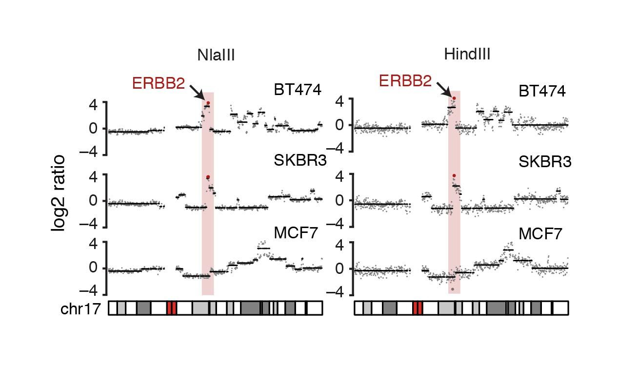 DNA copy number profiling has never been easier
