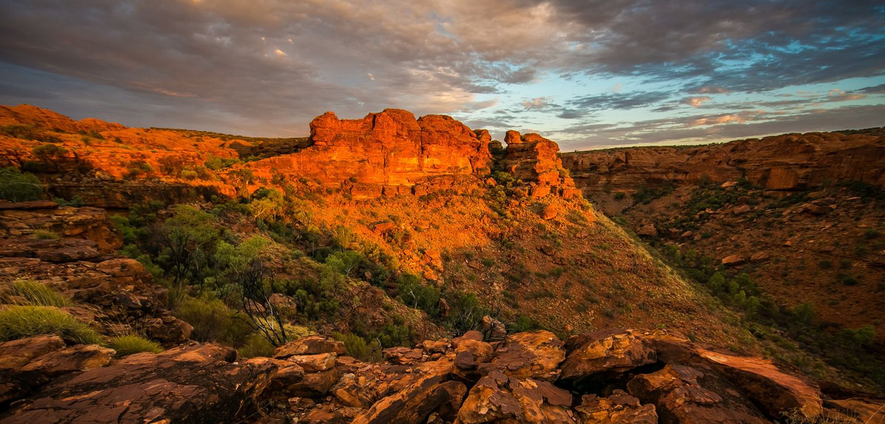 Logbook of Australia’s ancient megafauna 