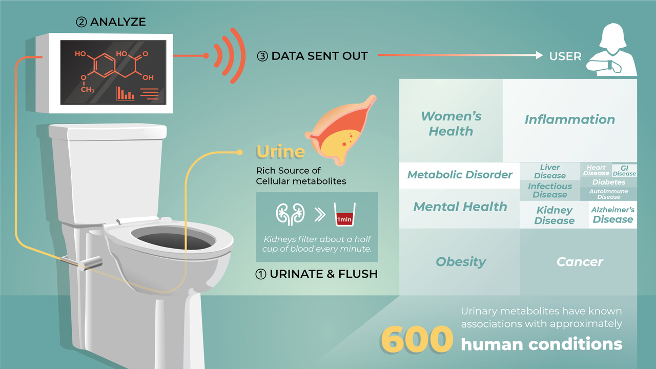 Imagining the Smart Toilet