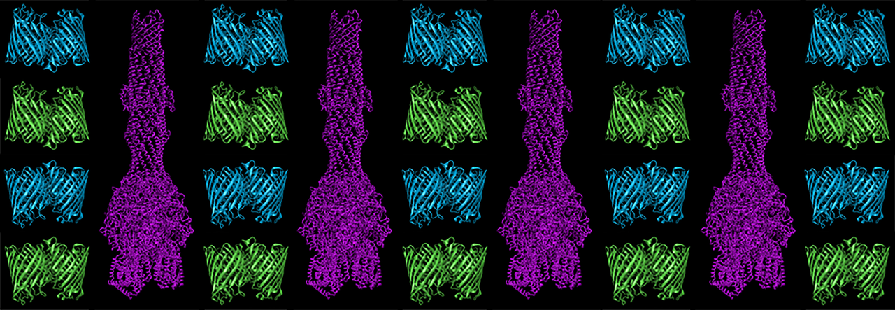 A Blueprint for Implementing the eNTRy Rules