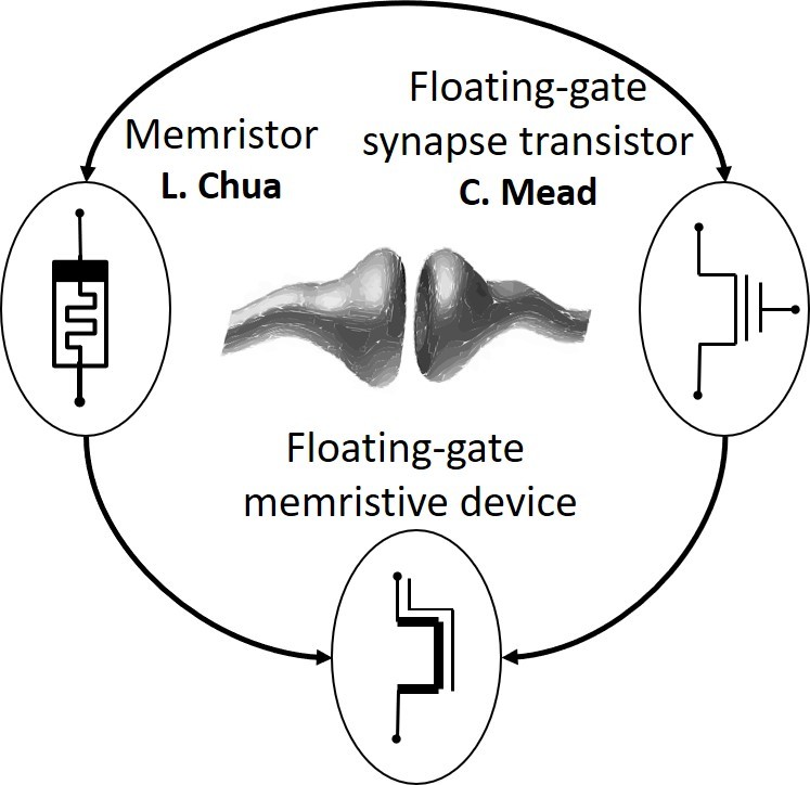 Bridging the gap between nano-scale analogue memory devices: memristor and floating-gate transistor for neuromorphic computing