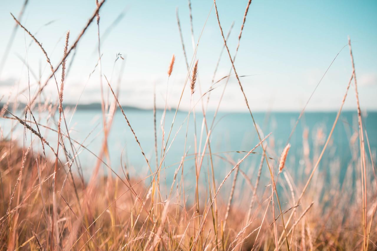 Newt Officer position at NatureSpace, UK