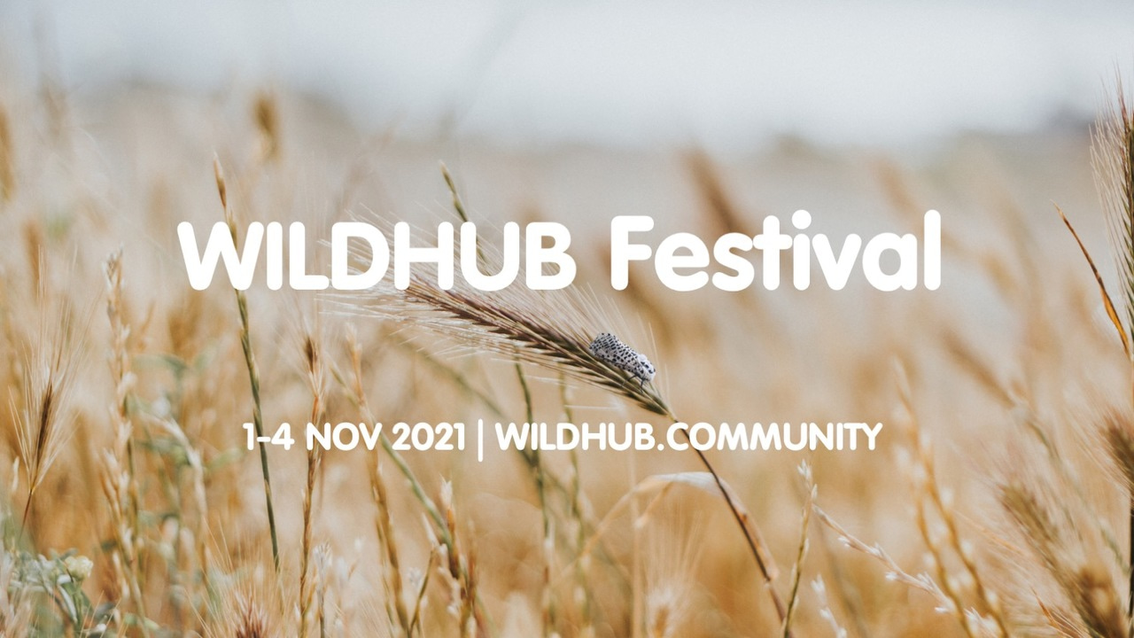 Call for action: Organise your own WildHub Festival session!