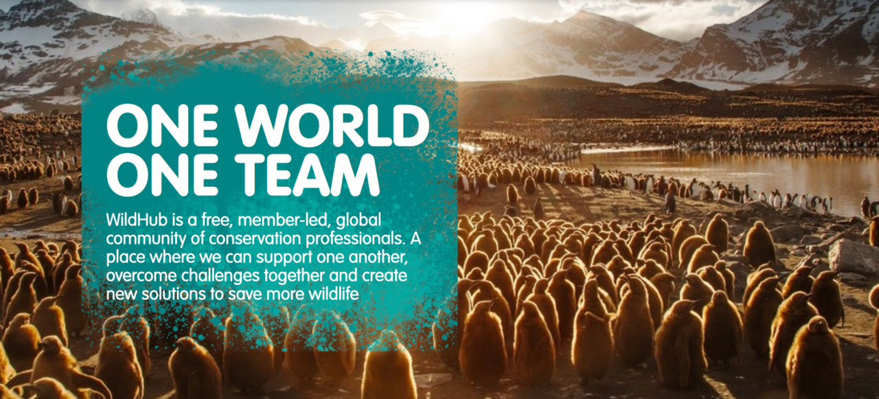 Closing 3 May: WildHub Assistant Manager position