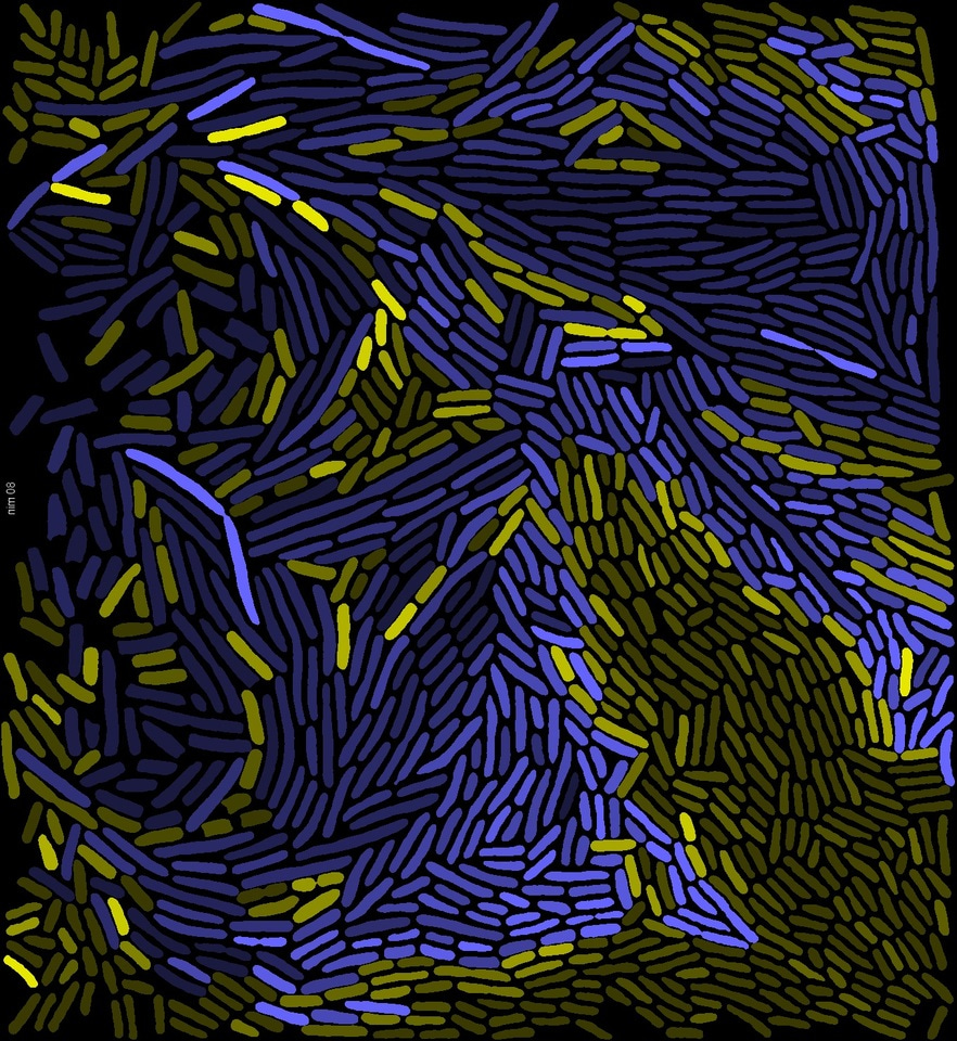 Cells Live in a Small World