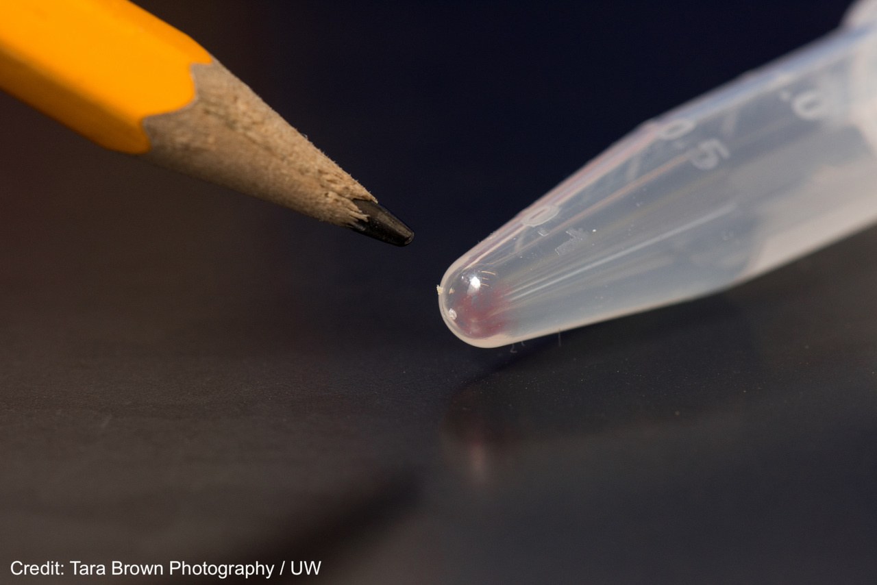 Probing the Physical Limits of Reliable DNA Data Retrieval