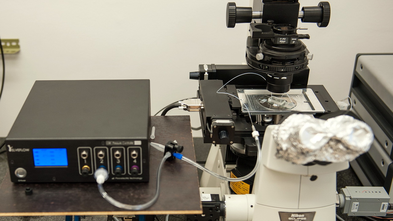 Topological surprises in channel-confined nematic flow