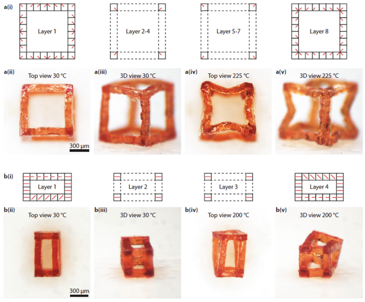 Shape-programmable liquid crystal elastomers with arbitrary 3D director fields and geometries