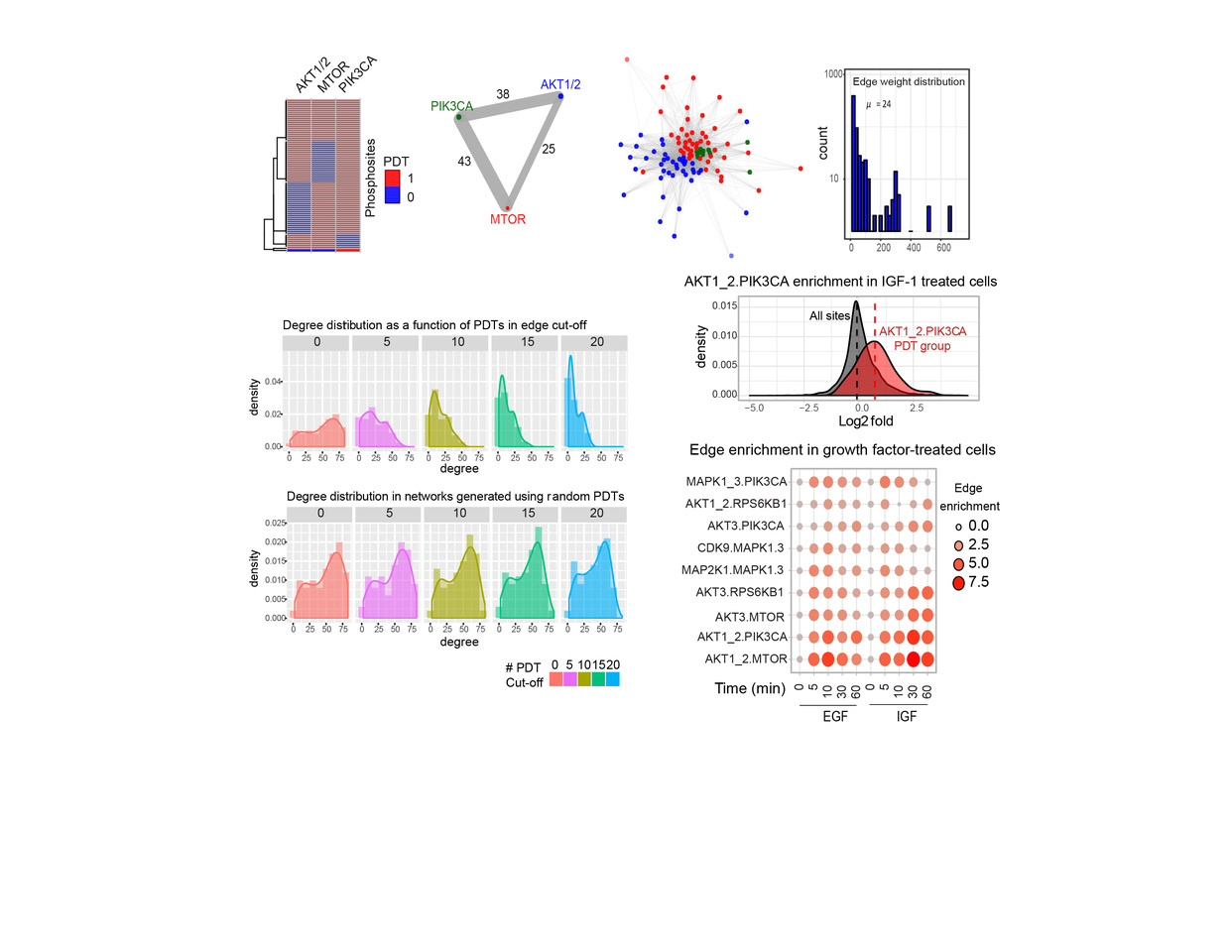 Phosphoprotein signatures and computational approaches reconstruct patient-specific kinase network topologies