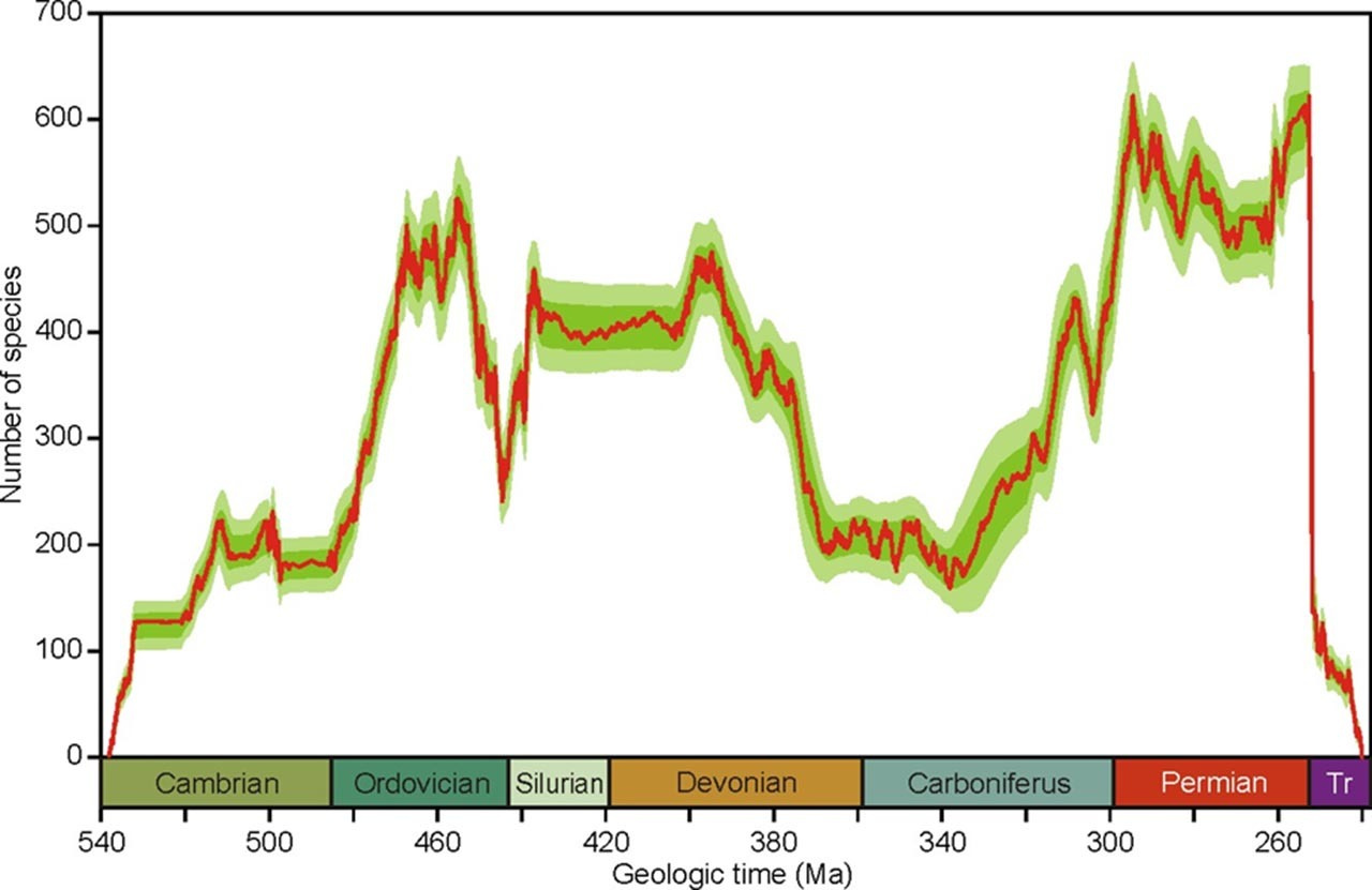 Supercomputer-assisted algorithm discovers previously unknown high-resolution species diversification