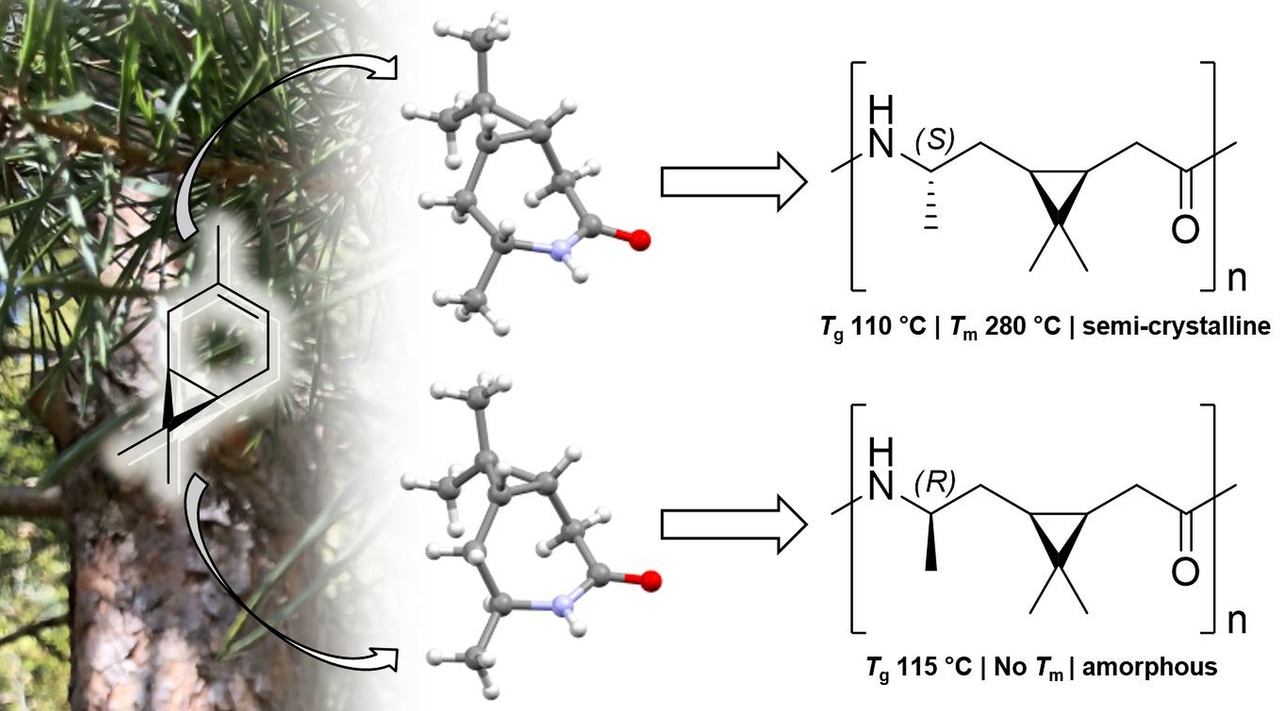 When Bio is Better: Amorphous and Semi-Crystalline Thermal High-Performance Bio-Based Polyamides