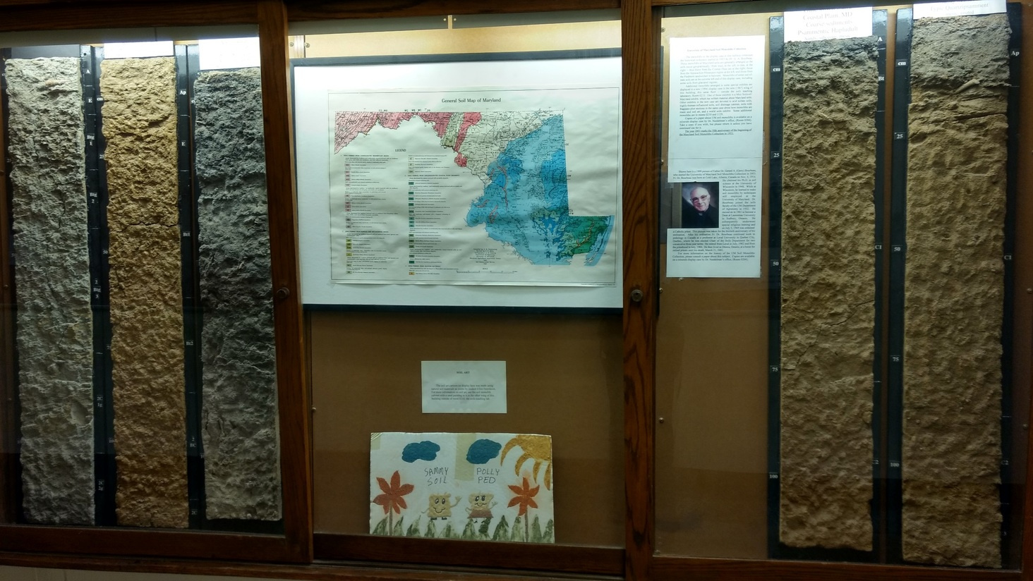 Exploring the Convergence of Urban Soil Ecosystems