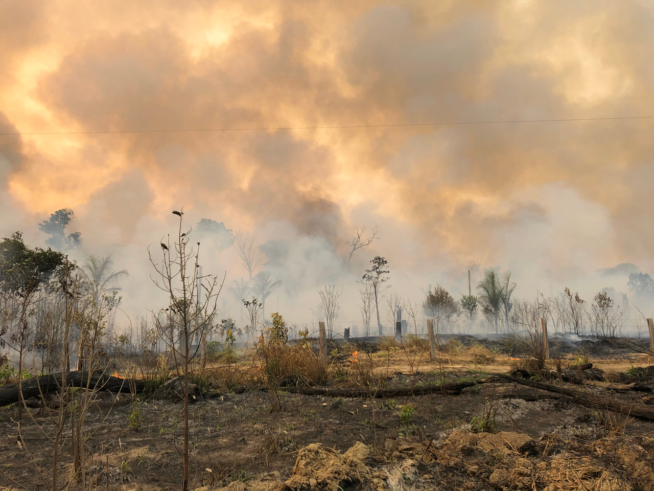 From the ground - Personal report on the fires in the Amazon in 2019