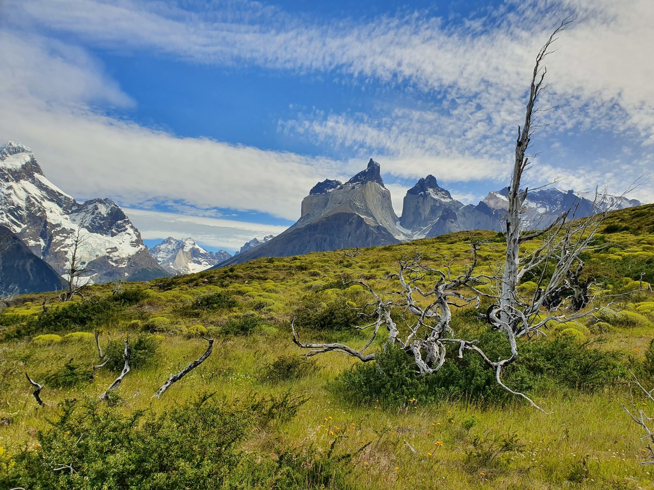 How to halt the global decline of lands