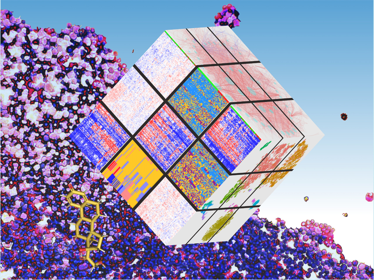 Many roads lead to resistance: a multimodal genomic approach to identify drug resistance mechanisms in leukemia.