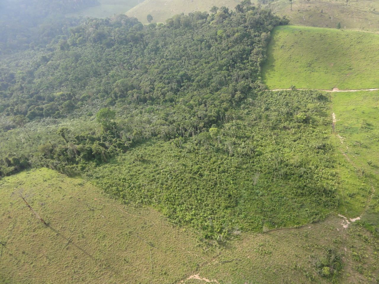Upturn in secondary forest clearing buffers primary forest loss in the Brazilian Amazon