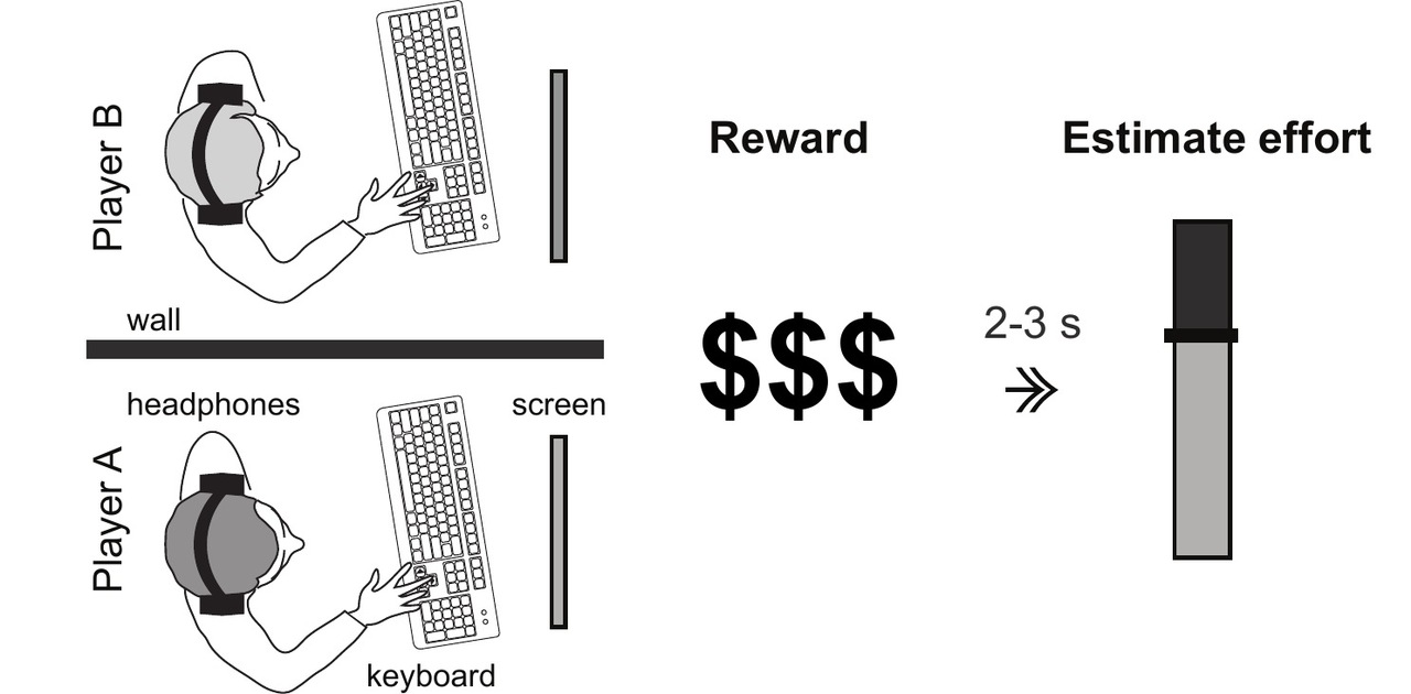 Rewards influence how we judge others' effort