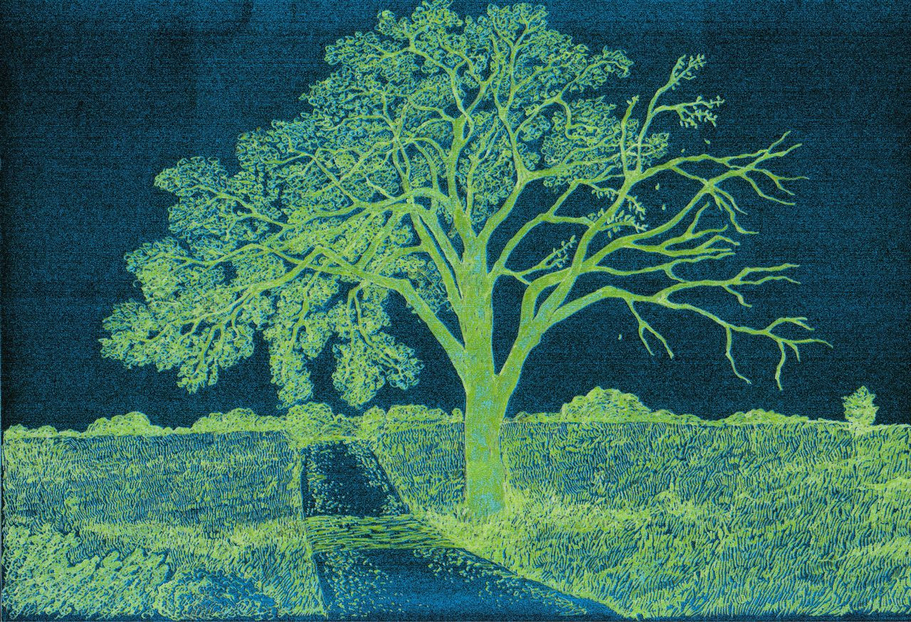 How invasive pathogens benefit from their cousins