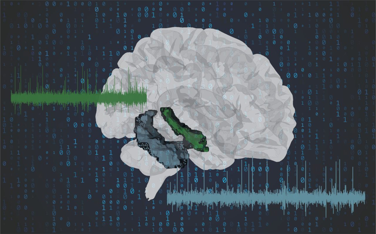 Challenges in Utilizing the Neurodata Without Borders (NWB) Format for Human Single Unit Data