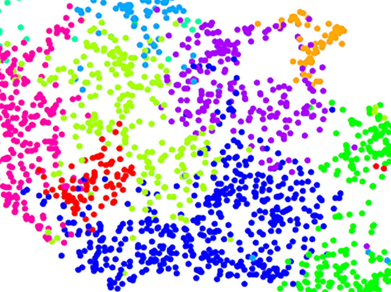 Resistance contains multitudes: increasing transcriptional diversity following SCLC treatment