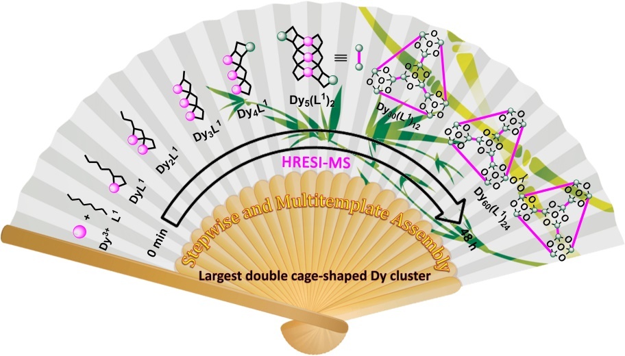 Assembly of Bis-/Single Cage-shaped Dysprosium Nanoclusters (Dy60/Dy30)