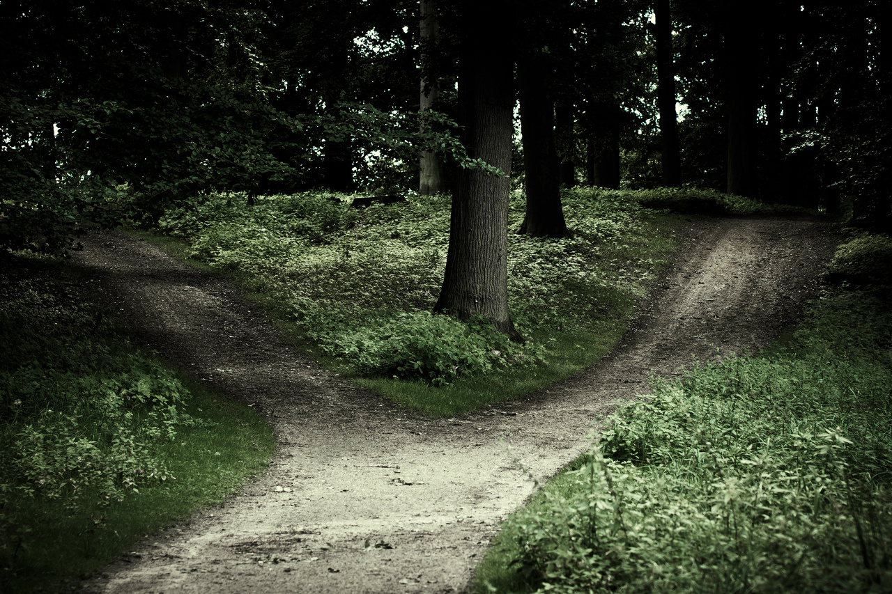 What is deliberation, and how does it influence our decisions?