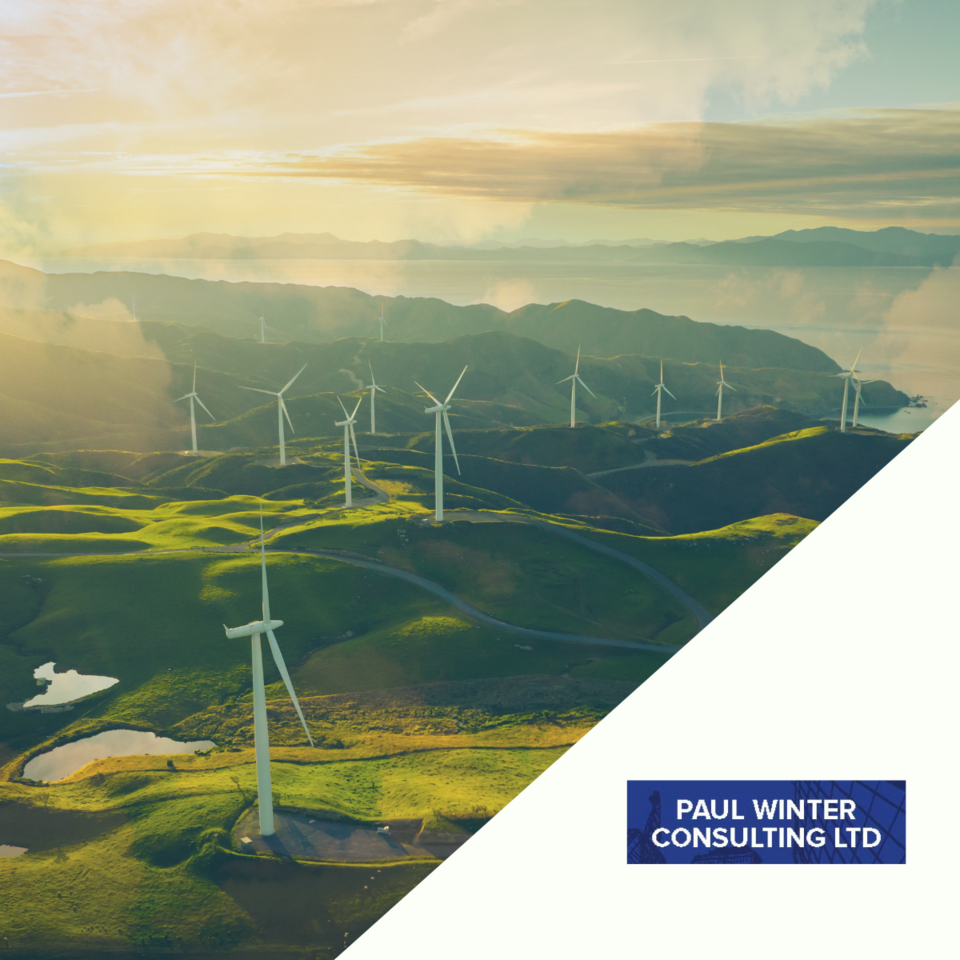 How will the Autumn 2024 budget impact the renewable energy sector?