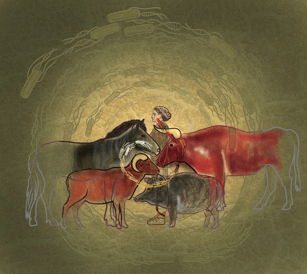 Prehistoric disease emergence