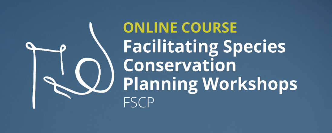 Facilitation skills training course (online)- apply now!
