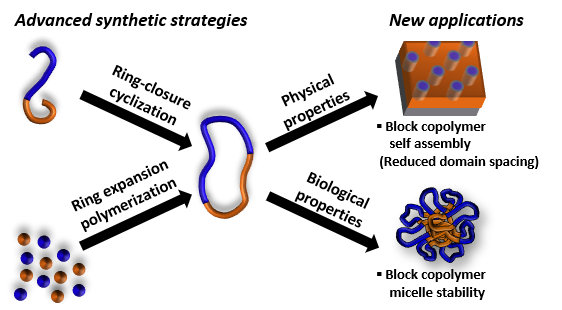 The synthesis, properties and potential applications of cyclic polymers